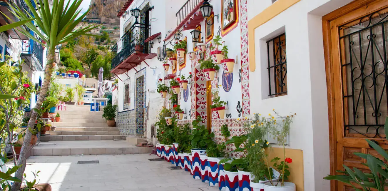Immersive Cultural Experiences & Local Cuisine